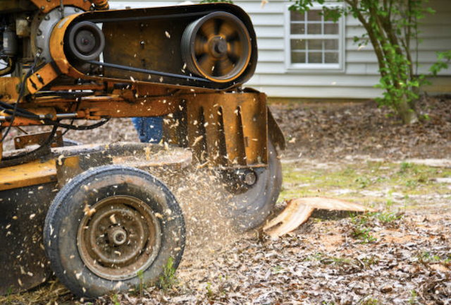 stump removal in wisconsin